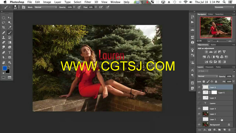 Photoshop综合实例训练视频教程的图片2