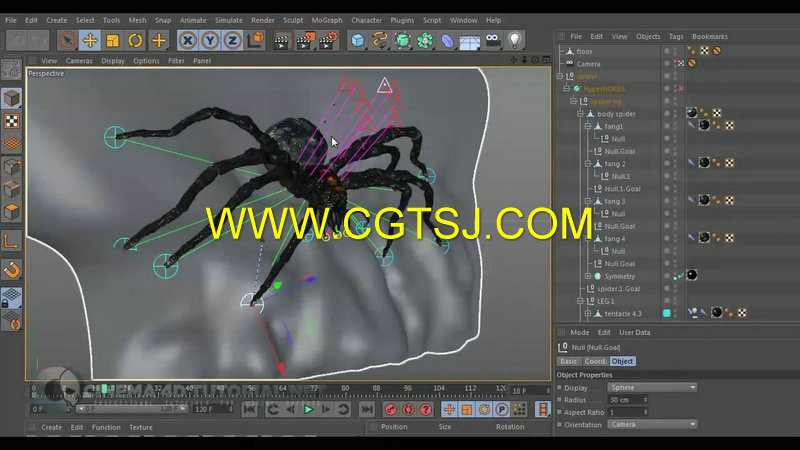 C4D巨型蜘蛛特效制作视频教程的图片5