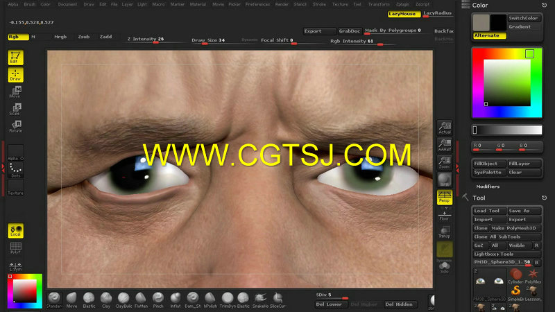 ZBrush与Toolbag写实皮肤纹理制作视频教程的图片1