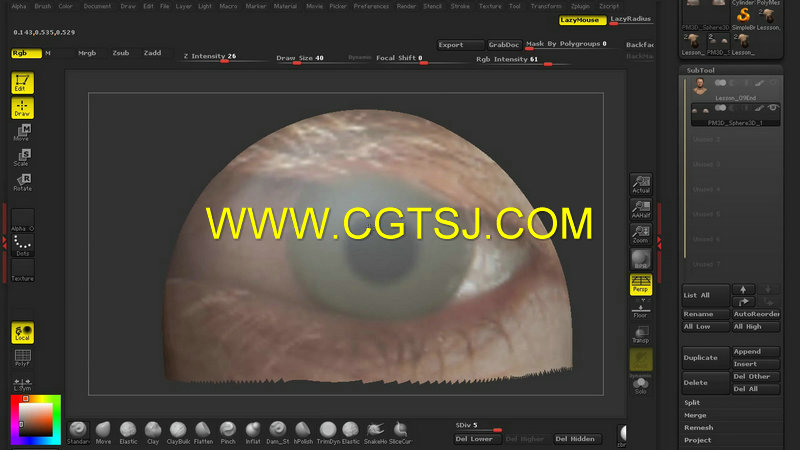 ZBrush与Toolbag写实皮肤纹理制作视频教程的图片3