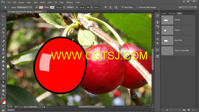 Photoshop中钢笔工具使用技巧视频教程的图片4