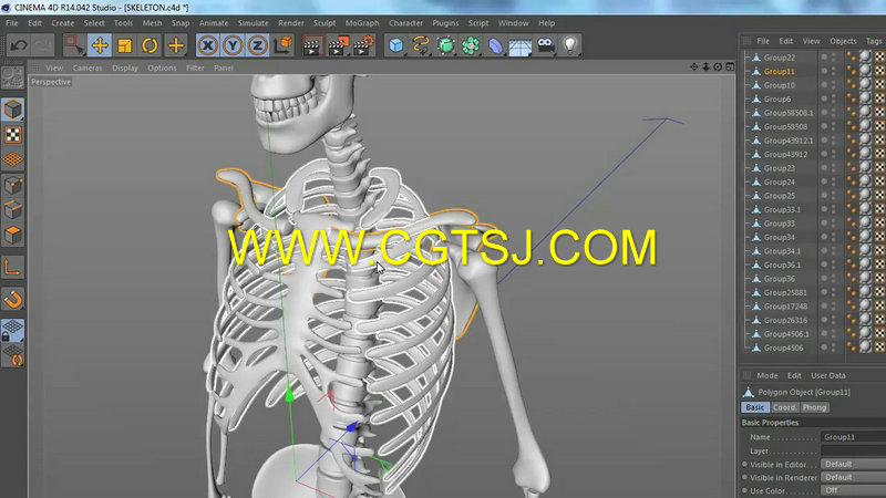 C4D骨骼动画高级技术训练视频教程的图片1