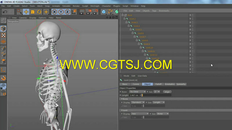 C4D骨骼动画高级技术训练视频教程的图片2