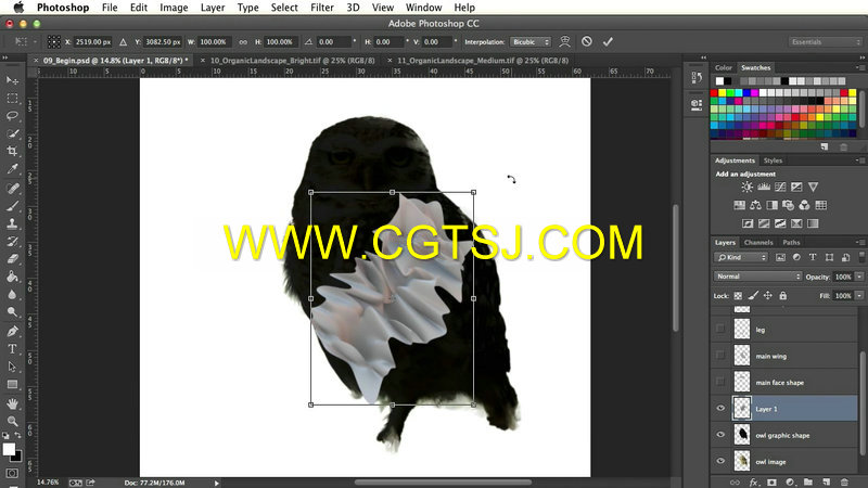 PS与C4D三维抽象艺术绘画视频教程的图片1