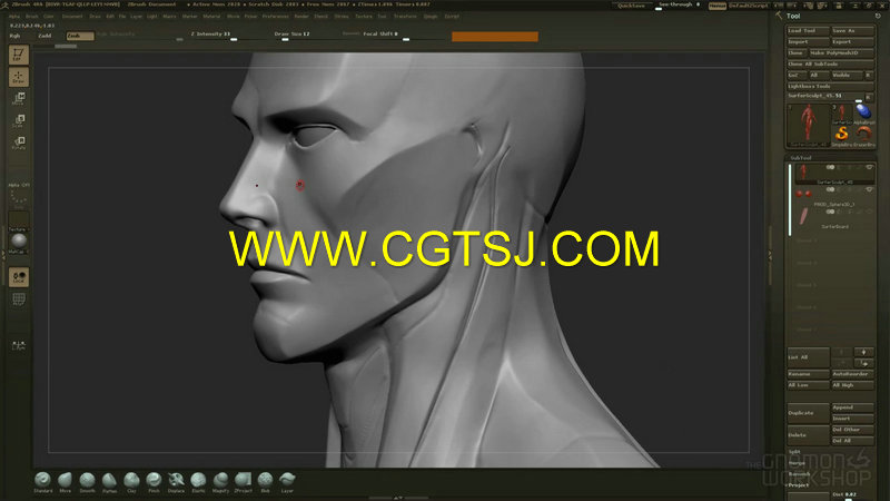 ZBrush角色设计先进技术视频教程的图片4