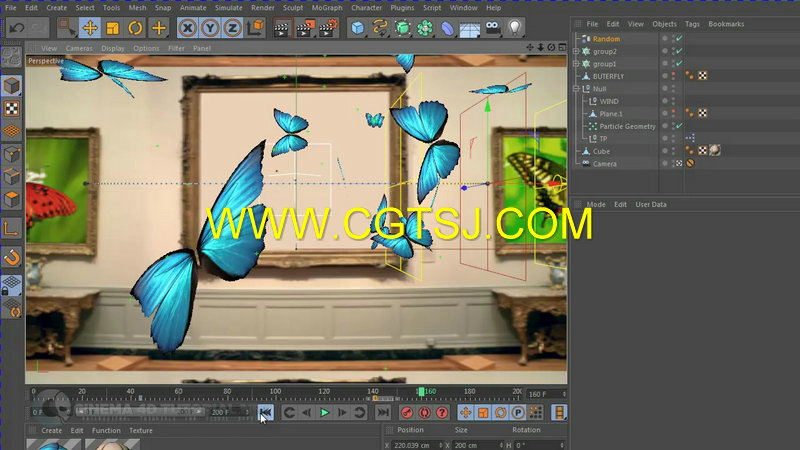 C4D蝴蝶群集特效制作视频教程的图片4