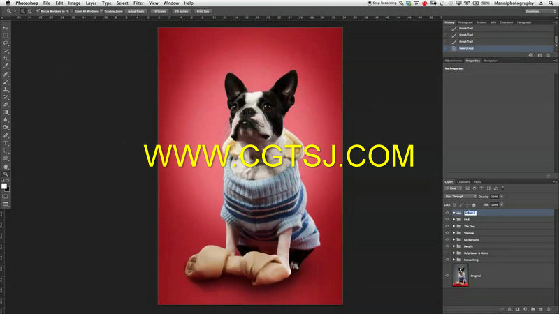 Photoshop宠物狗高级润色技巧视频教程的图片1