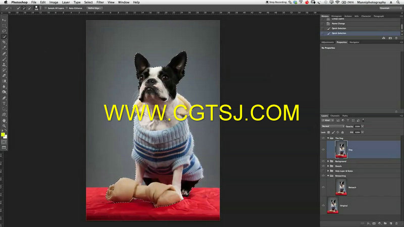 Photoshop宠物狗高级润色技巧视频教程的图片2