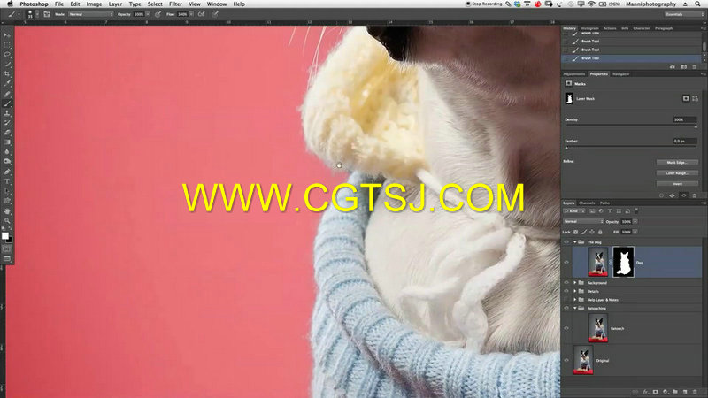 Photoshop宠物狗高级润色技巧视频教程的图片4