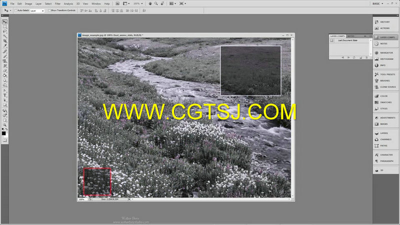 Photoshop图形设计标准课程视频教程的图片2