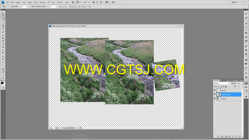 Photoshop图形设计标准课程视频教程的图片3