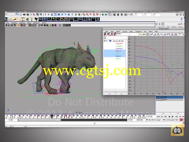 动物动画运动技术解析训练视频教程的图片7