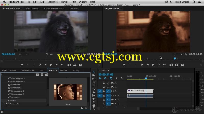 Premiere Pro CC进阶技术训练视频教程的图片3