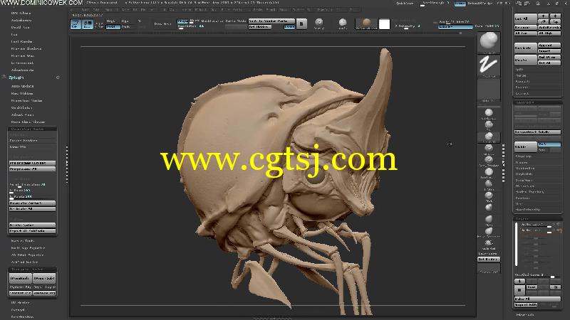 ZBrush高阶雕刻艺术训练视频教程的图片4