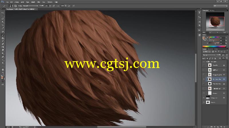 Photoshop毛发绘制技巧视频教程的图片5