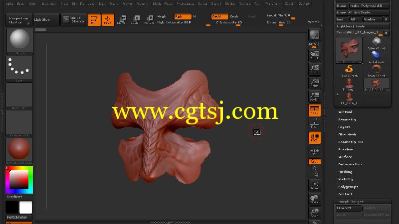 ZBrush创建网格雕刻艺术视频教程的图片1