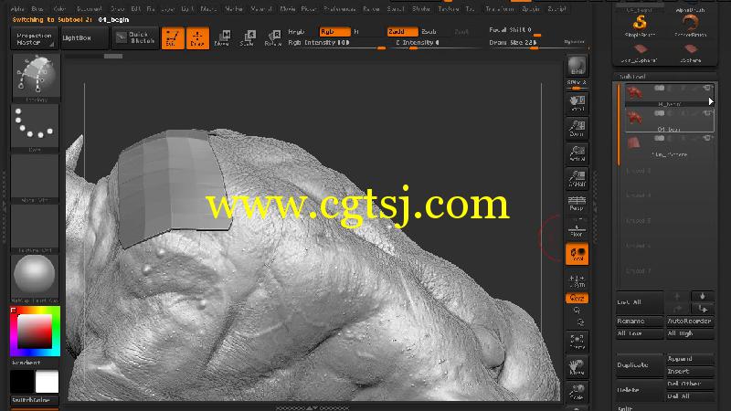 ZBrush创建网格雕刻艺术视频教程的图片4