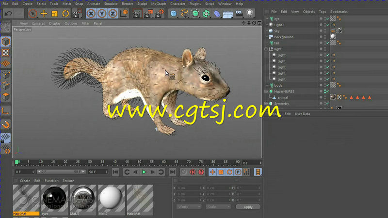 C4D动物毛发制作训练视频教程的图片4