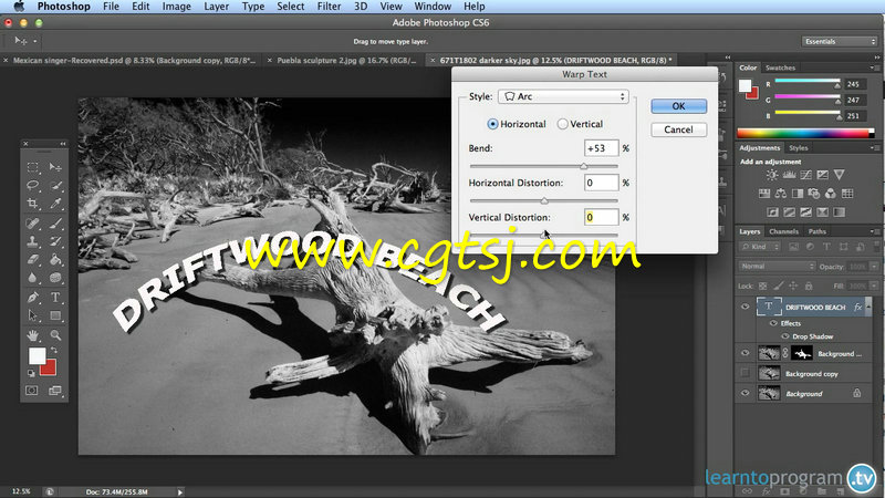 Photoshop图像制作综合训练视频教程的图片1