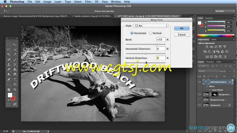 Photoshop图像制作综合训练视频教程的图片1