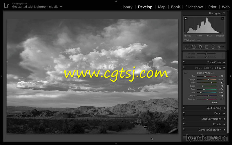 PS与Lightroom黑白自然风景照制作视频教程的图片1