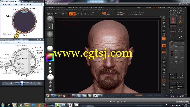 ZBrush面部雕刻解剖学制作训练视频教程的图片1