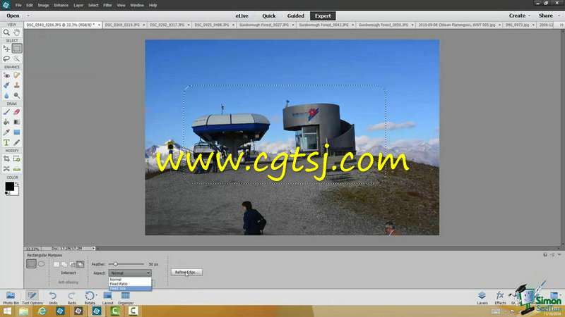 Photoshop Elements 13终极训练视频教程的图片1