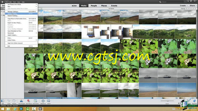 Photoshop Elements 13终极训练视频教程的图片2