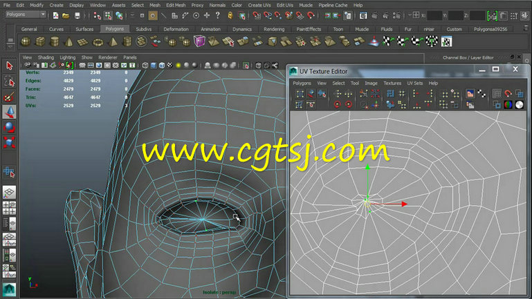 Zbrush角色贴图材质应用技巧视频教程第一季的图片3