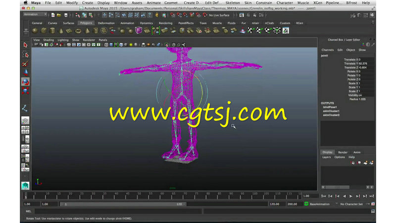 Maya三维动画技术基础训练视频教程的图片3