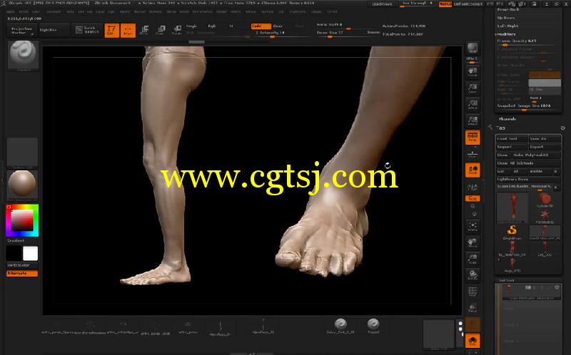 ZBrush人物胳膊与腿雕刻艺术制作视频教程的图片1