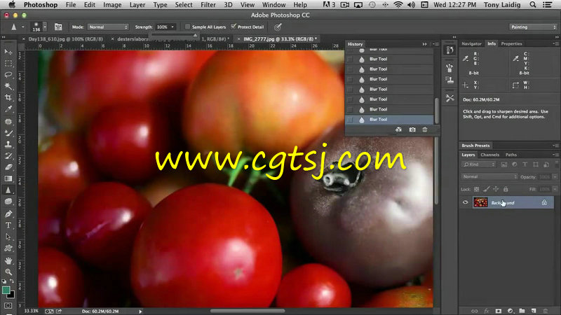 Photoshop全面学习训练视频教程的图片1