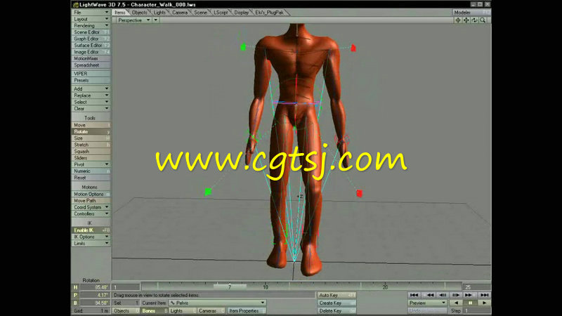 Lightwave角色骨骼动画训练视频教程的图片4