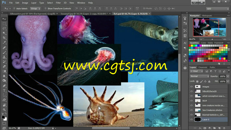 ZBrush深海异形角色制作视频教程的图片2