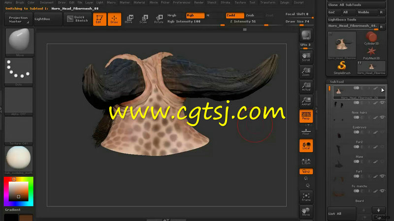 ZBrush角色毛发制作训练视频教程第三季的图片3