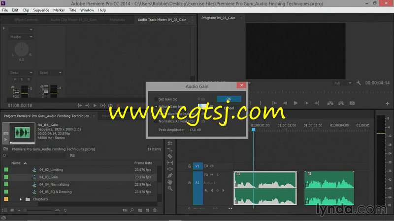 Premiere音频处理技术视频教程的图片2