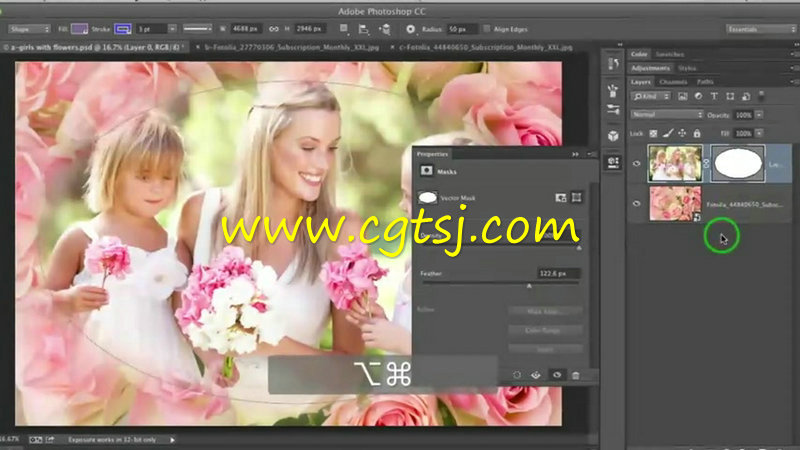 Photoshop图形工具使用技巧视频教程的图片3
