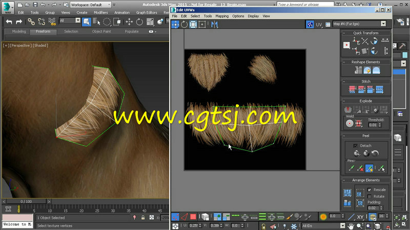 Substance Painter游戏动物皮毛制作视频教程的图片3