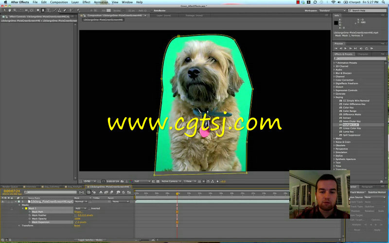 绿屏抠像视频编辑综合训练视频教程的图片1