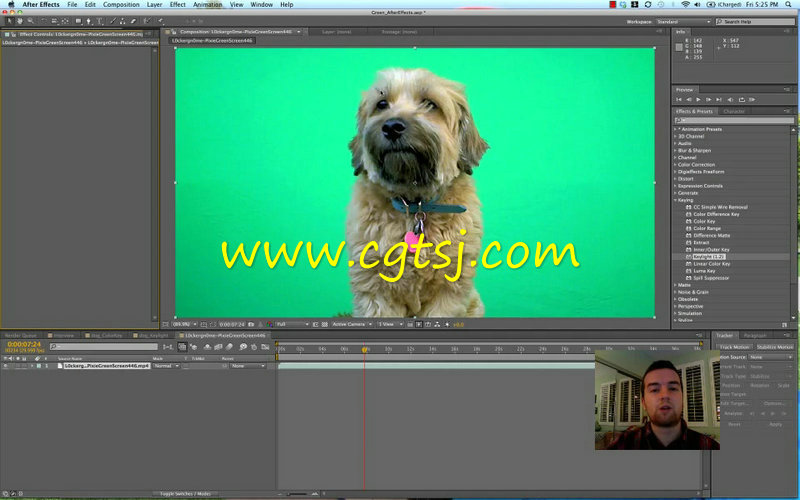 绿屏抠像视频编辑综合训练视频教程的图片3