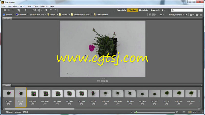 Photoshop特效文字制作技术视频教程的图片3