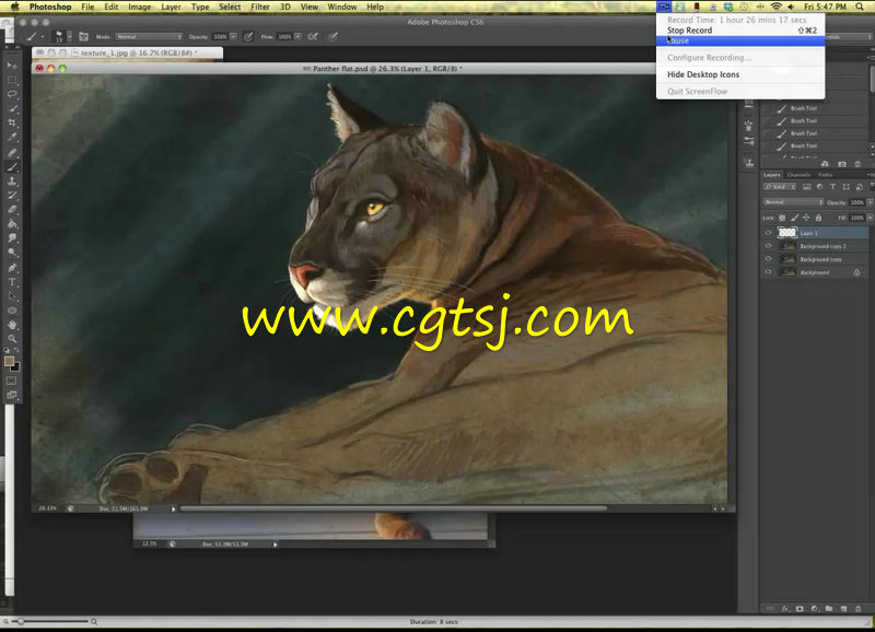 野生动物数码手绘艺术训练视频教程的图片1