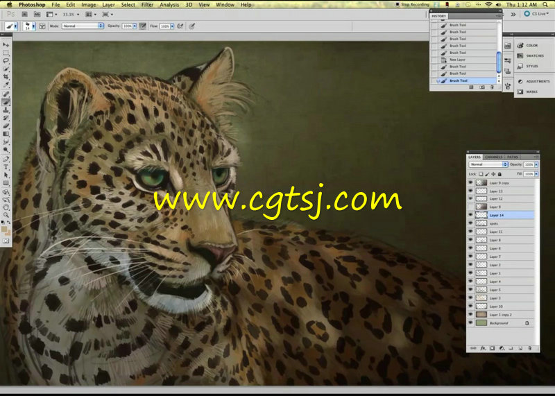野生动物数码手绘艺术训练视频教程的图片2