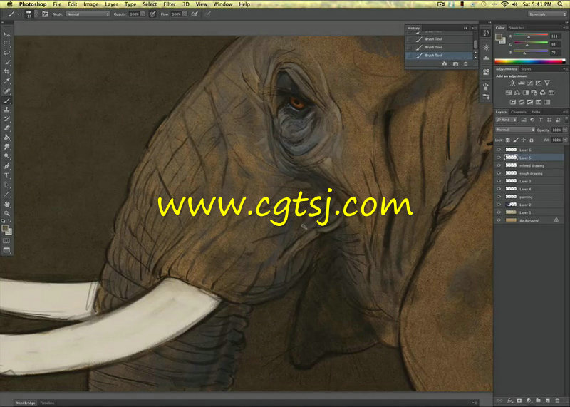 野生动物数码手绘艺术训练视频教程的图片3
