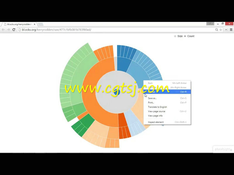 SVG矢量图形基础训练视频教程的图片2