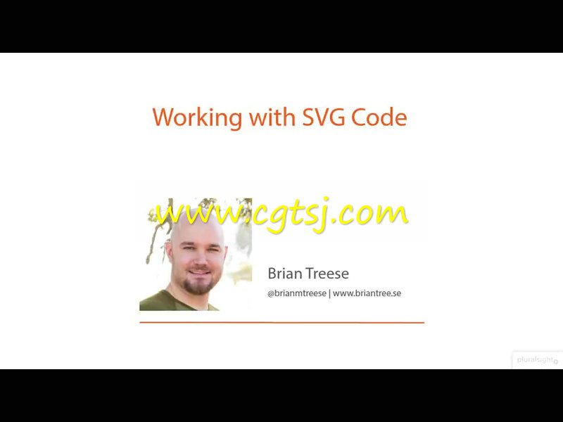 SVG矢量图形基础训练视频教程的图片3