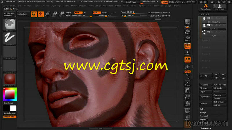 ZBrush自动拓扑工具训练视频教程的图片3