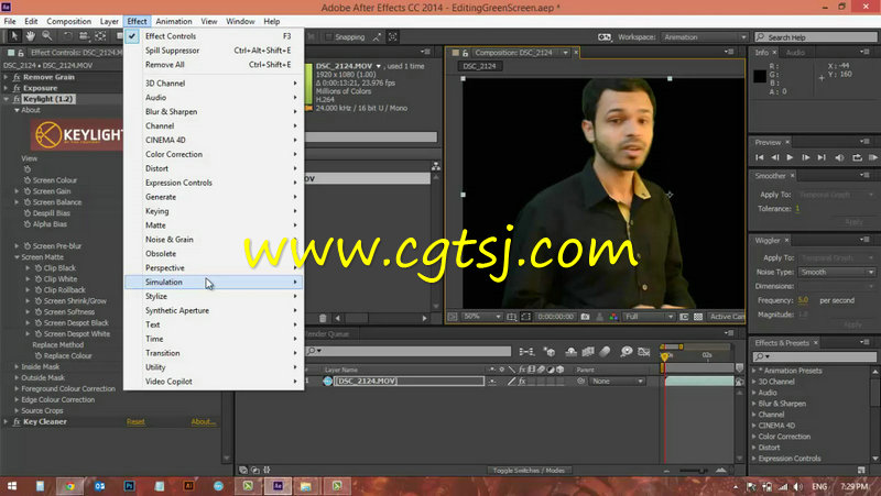 Adobe软件适用性指南视频教程的图片1