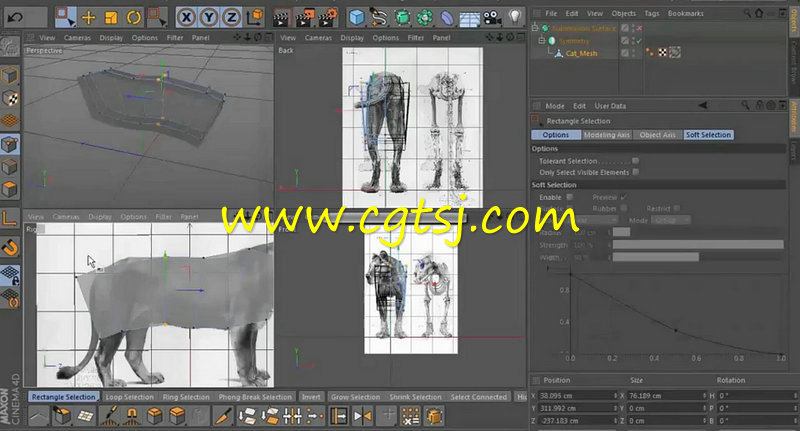 C4D狮子四足动物完整实例制作训练视频教程的图片2