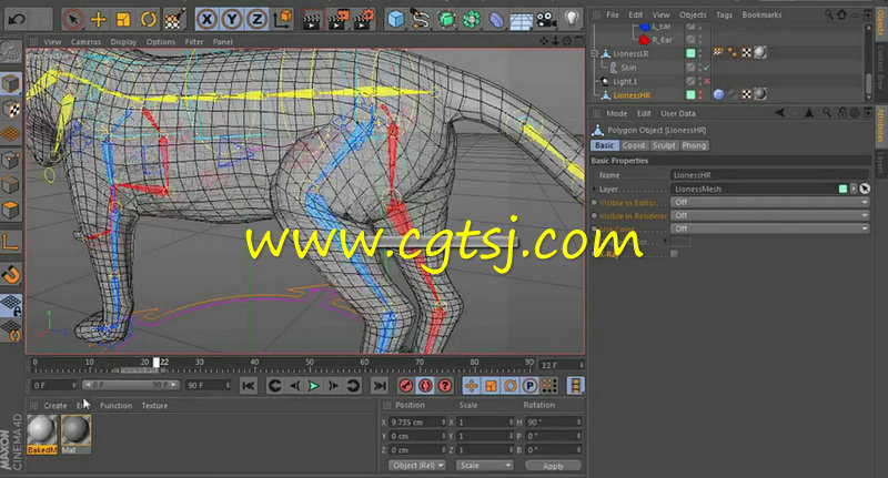 C4D狮子四足动物完整实例制作训练视频教程的图片3